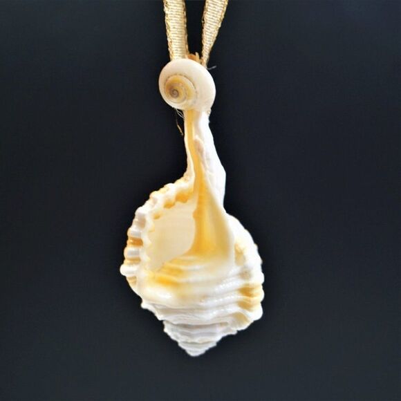 Vintage Conch Seashell Christmas Ornament Ocean Nature Nautical - Picture 1 of 8